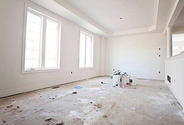 Best Black Mold Removal  in Collierville, TN